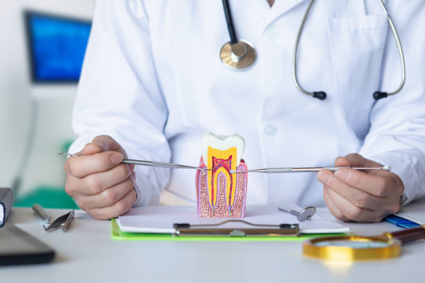 Best Emergency Dental Care for Sports Injuries in Waurika, OK